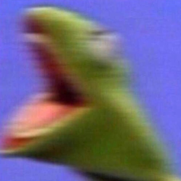 Meet your Posher, Alexa - Picture 1 of 1